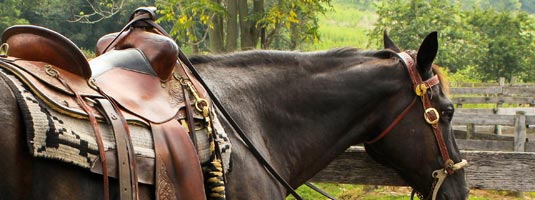 horse-saddle-535x200